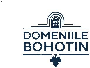 Domeniile Bohotin